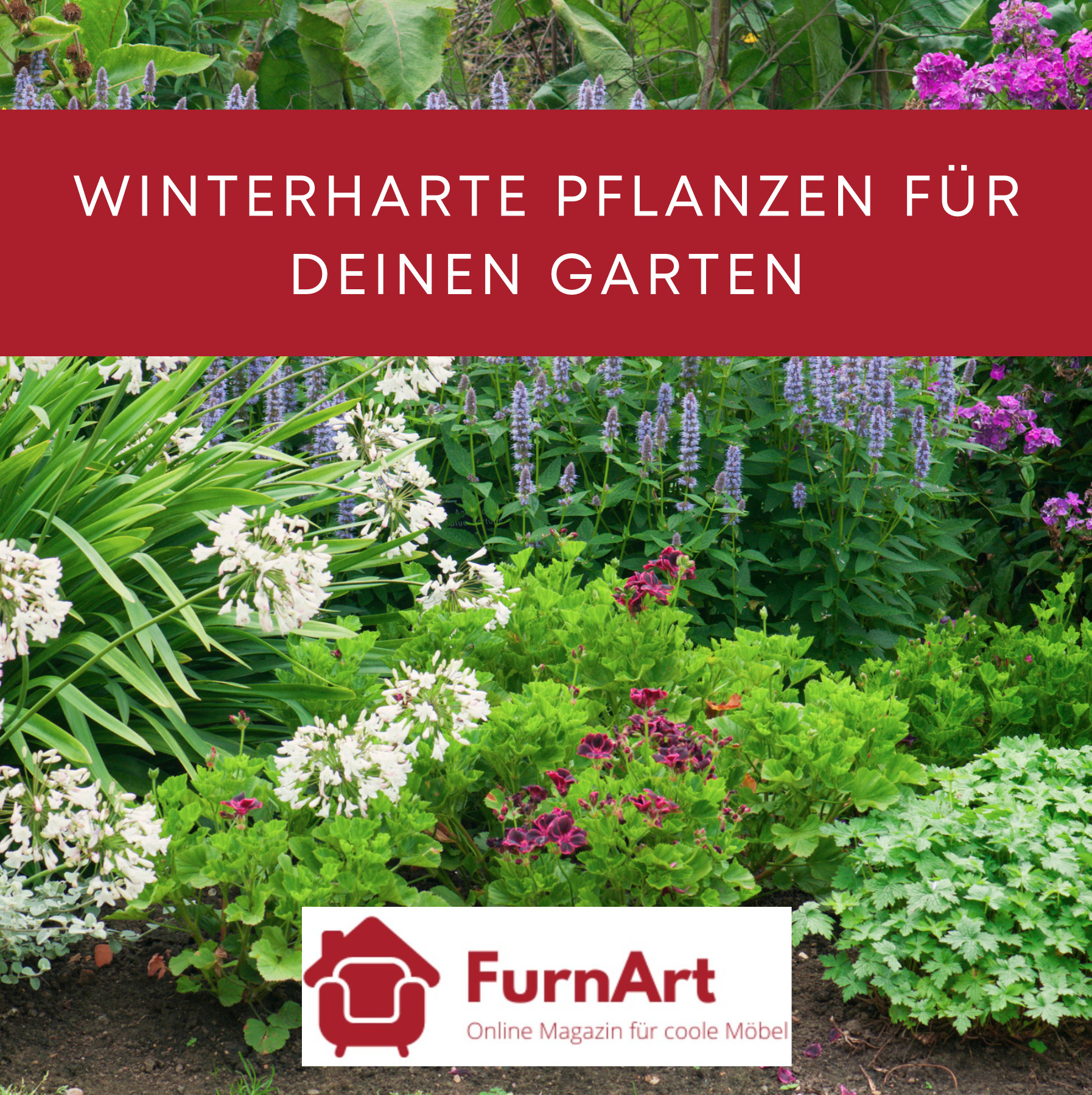 Winterharte Pflanzen für deinen Garten