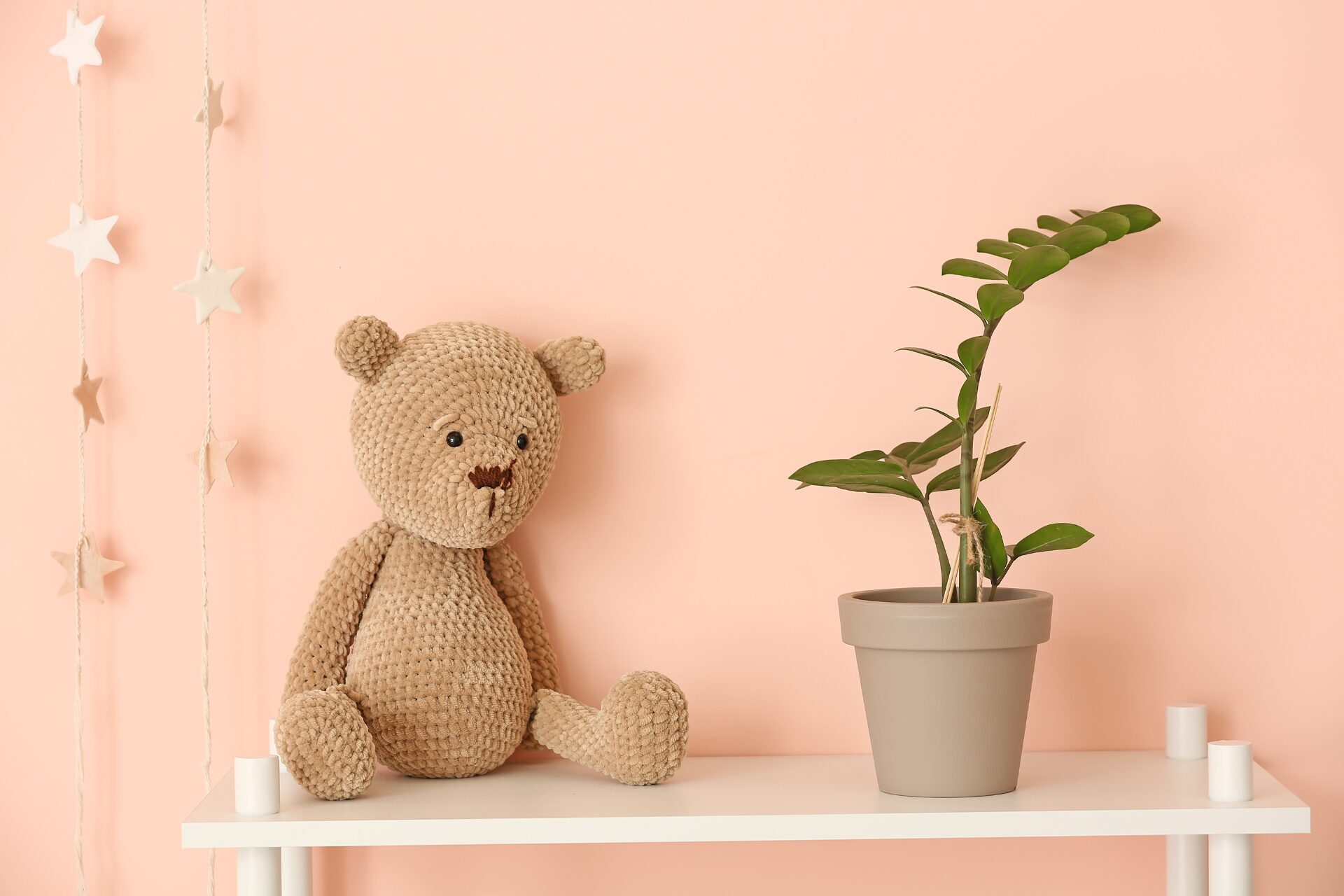 Pflanzen frs Kinderzimmer: Pflegeleichte Zimmerpflanzen