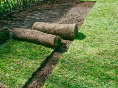 Rasen neu anlegen: Die perfekte Rasenfläche in 6 Schritten