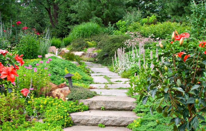 Günstige Gartenweg Ideen: Kreative Lösungen für Deinen Traumgarten