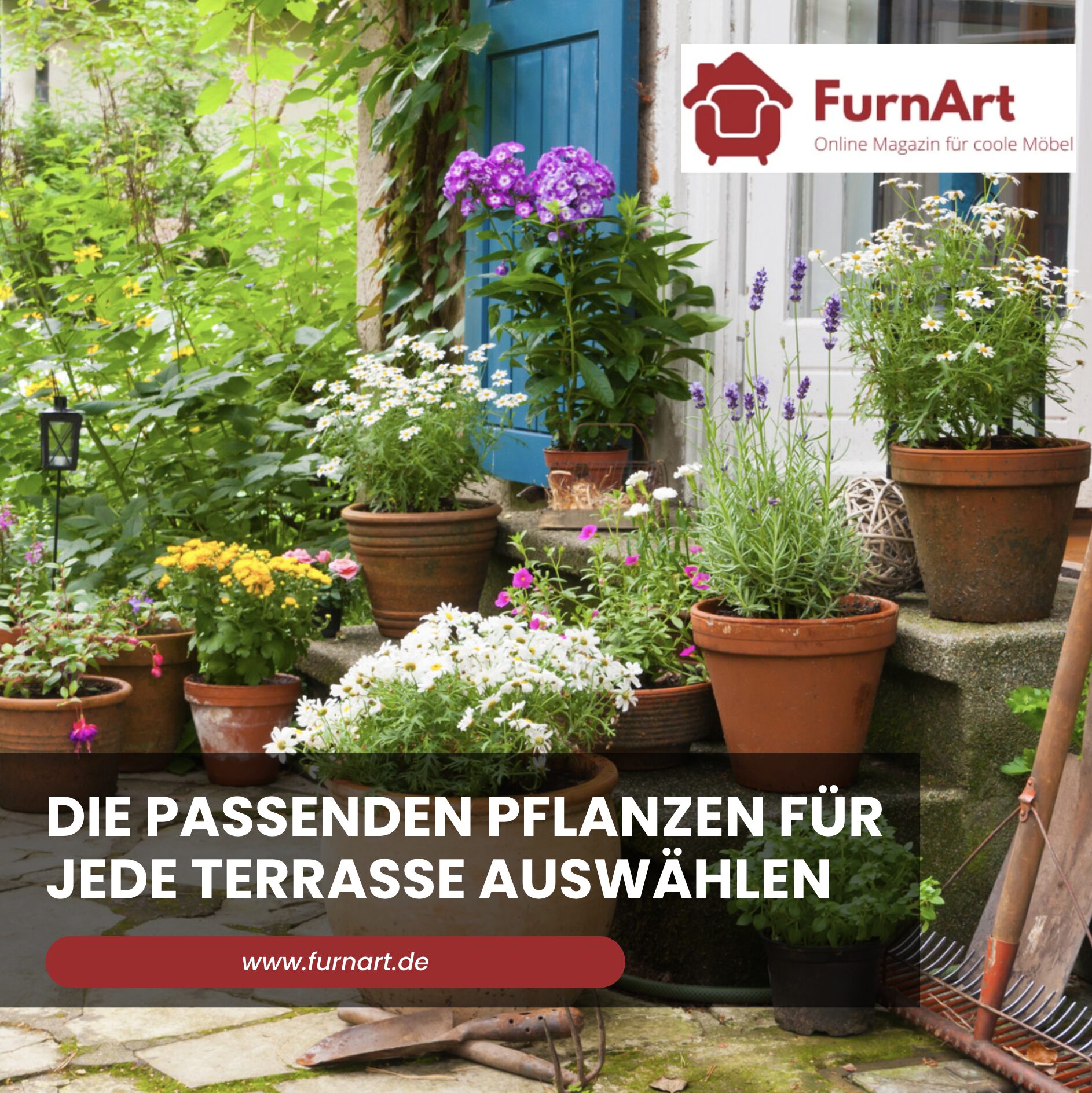 Die passenden Pflanzen für jede Terrasse auswählen
