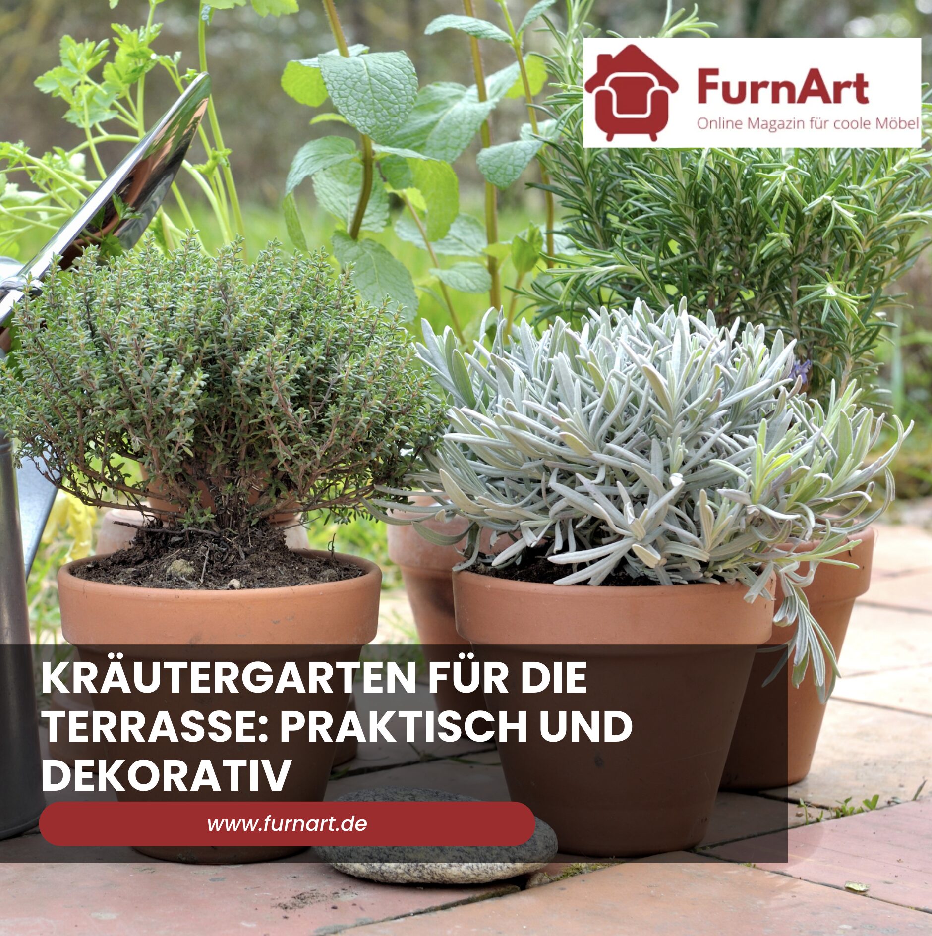 Kräutergarten für die Terrasse: Praktisch und dekorativ