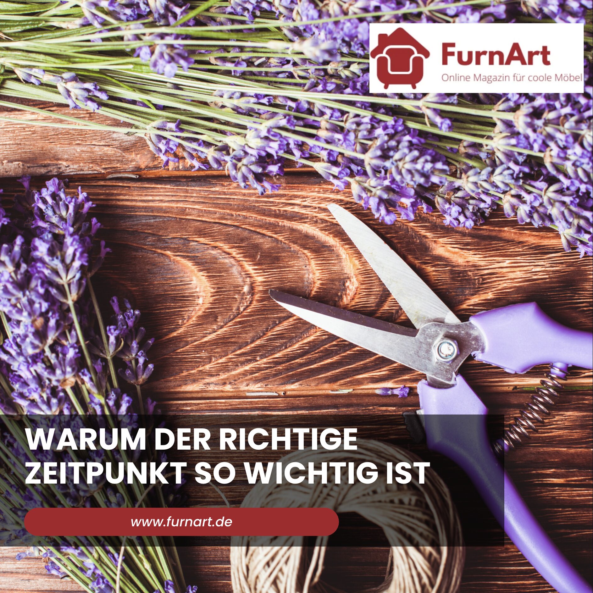 Warum der richtige Zeitpunkt so wichtig ist