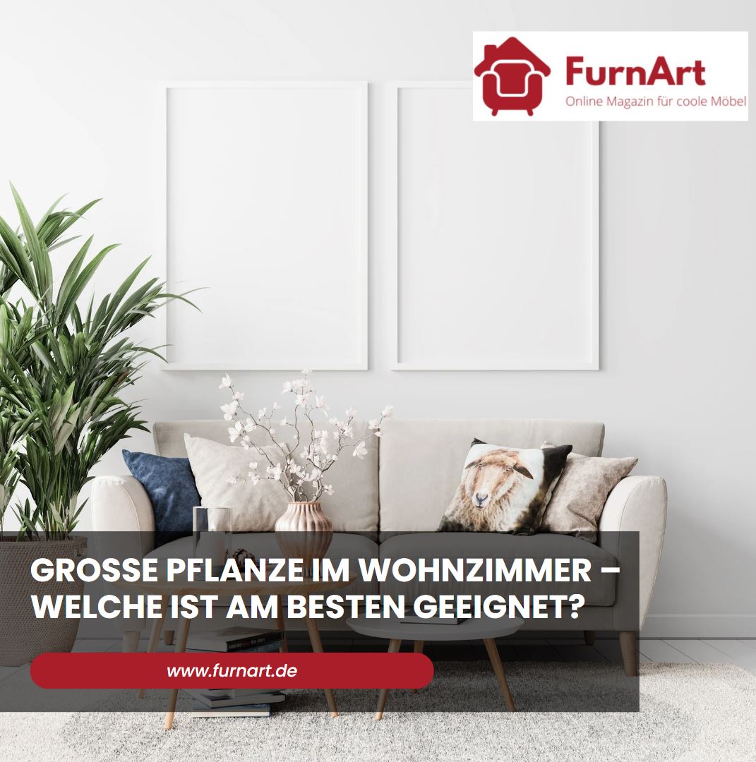 Große Pflanze im Wohnzimmer – welche ist am besten geeignet