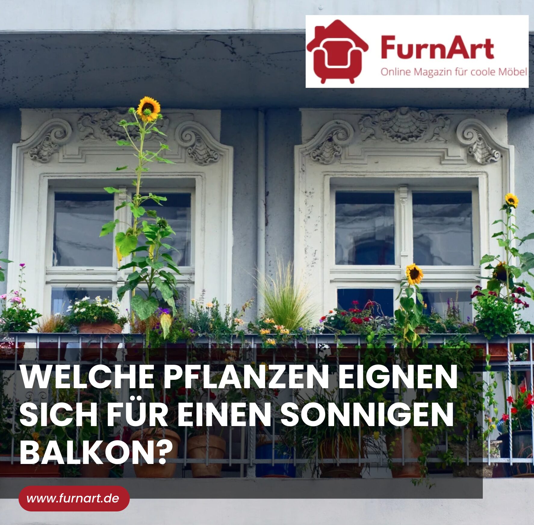 Welche Pflanzen eignen sich für einen sonnigen Balkon?