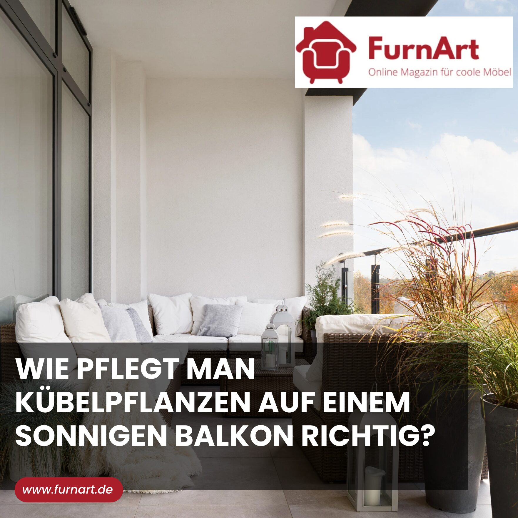 Wie pflegt man Kübelpflanzen auf einem sonnigen Balkon richtig?