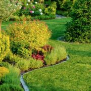 Kleinen Garten gestalten – Vorher und Nachher: Tipps für eine erfolgreiche Umgestaltung