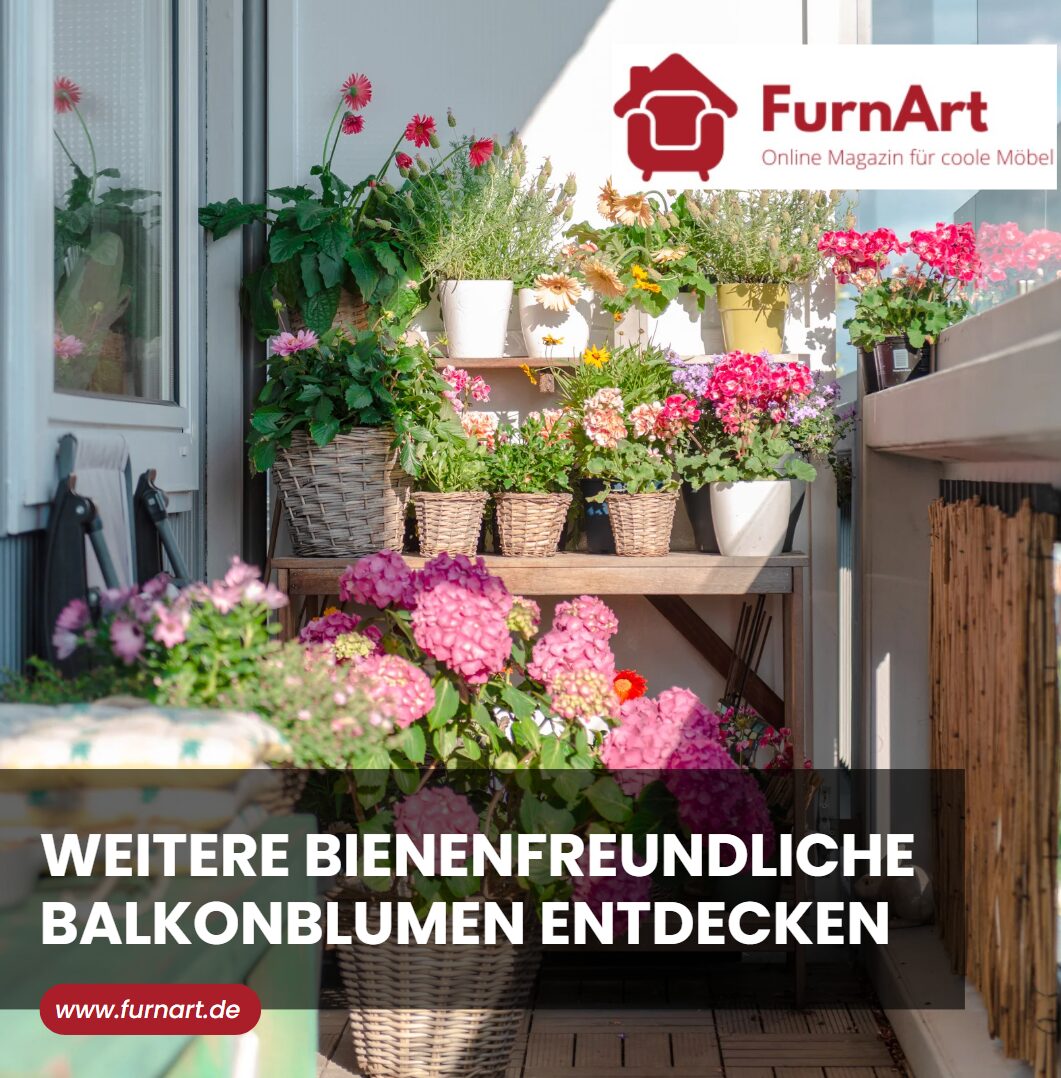 Weitere bienenfreundliche Balkonblumen entdecken